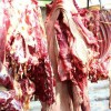 驢肉批發，驢肉廠家，驢肉，驢肉哪家好，蘭陵驢肉