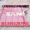 鑄鐵閘門CX型