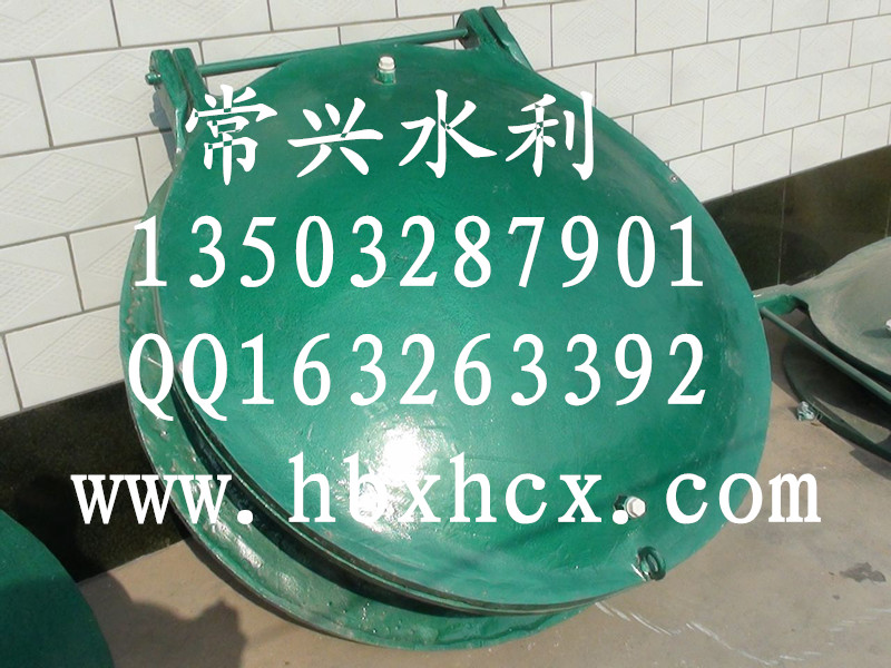 玻璃鋼拍門