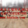 雙吊點螺桿式啟閉機(jī)