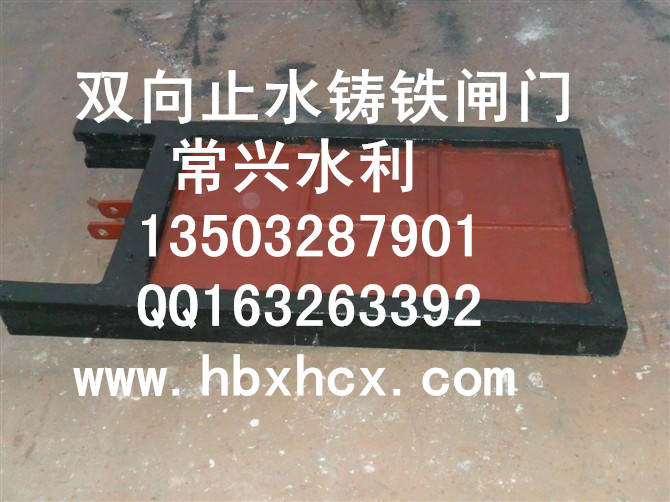 雙止水鑄鐵閘門