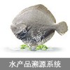 溯源系統 農產品溯源系統 水產品溯源系統溯源標簽溯源解決方案