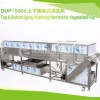 【鳳翔】DUP-5000 上下噴淋式清洗機(jī)果蔬清洗機(jī)