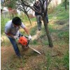 廠家直銷新款立盈小型手持式 挖樹機