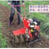 德尼爾森》牌多功能柴油微耕機廠家