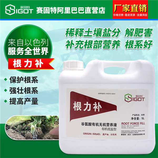 根力補1