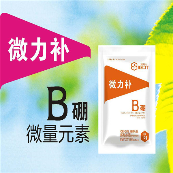 微力補(bǔ)2