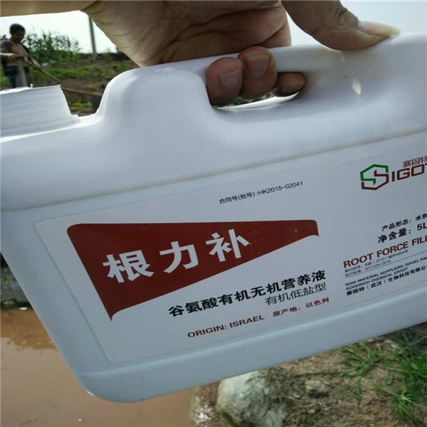 根力補2