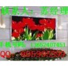 led顯示屏舞臺車、led顯示屏舞臺車廠家、led顯示屏舞臺車價格