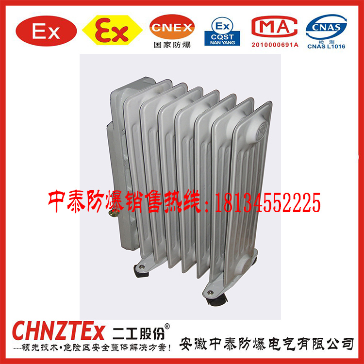 電熱油汀0