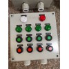 BZC51-A2D2K1G設(shè)備機(jī)旁防爆操作柱