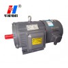 山東盛華電機(jī)廠YB3-160L四極15KW隔爆型三相異步電動機(jī)