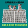 塑料漏糞板