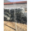 預埋樁 螺旋地樁 光伏地樁廠家 光伏預埋件預埋樁 螺旋地樁 光伏地樁廠家 光伏預埋件