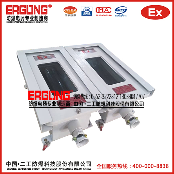 防爆探測器10
