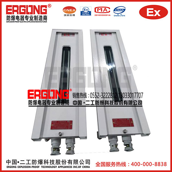 防爆探測器13