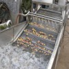 氣泡清洗機 果蔬清洗機 噴淋清洗機 蔬菜清洗設備 廠家熱銷