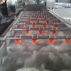 商用水果蔬菜清洗機 噴淋氣泡式清洗設備 不銹鋼蓮藕清洗機