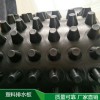 排水板，排水板批發，優質排水板，排水板廠家，排水板價格，山東排水板，排水板生產商，量大從優，質量保證。實力公司