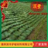 植生袋熱賣 新品護坡植草袋