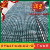 三維護坡植被網墊 護坡新品