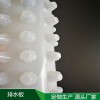 廠家生產HDPE塑料排水板，車庫頂部用凹凸排水板價格，屋頂綠化排水板廠家代理