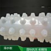 廠家直銷2/3/5公分高車庫排水板價格，|HDPE塑料排水板，地下車庫疏水板經銷商