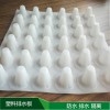 車庫(kù)屋頂綠化塑料防護(hù)排水板 空中花園綠化蓄排水板 塑料排水板價(jià)格 排水板廠家新價(jià)格