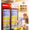 洛陽哪里有賣啤酒柜飲料柜 飲料冷藏柜廠家直銷