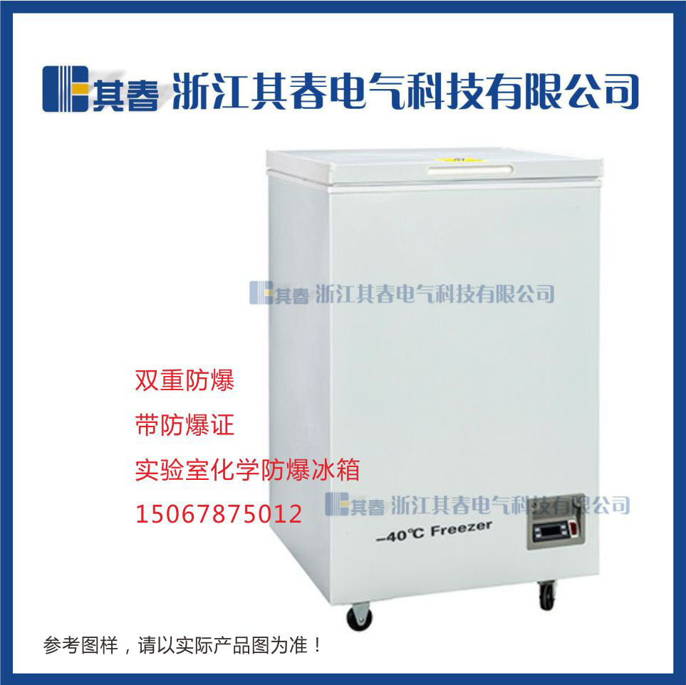 BL-DW110FW，