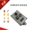造船廠雙速電機防爆操作柱二工防爆控制箱防爆按鈕盒