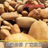 正宗駁岸石、純天然圍邊石頭、花壇花園點綴黃蠟石、小區草坪石