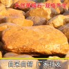 庭院裝飾石、園林點綴造景石、黃色圓潤石頭、花壇圍邊黃蠟石