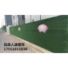 江蘇貝森人造草坪，圍擋草坪，裝飾草坪，園林草坪，幼兒園草坪，足球場草坪