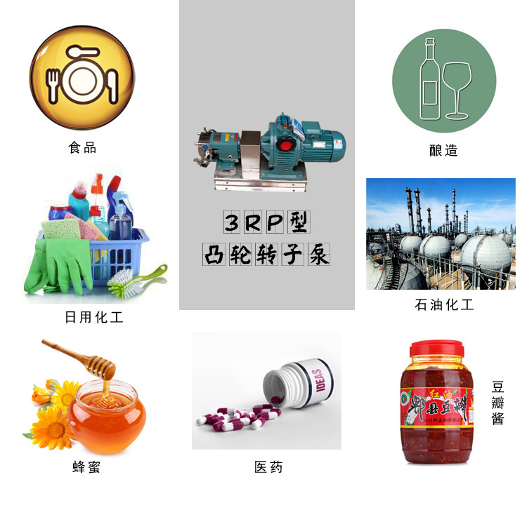 廠價(jià)銷售 微型轉(zhuǎn)子泵 衛(wèi)生級(jí)凸輪泵 外貿(mào)貨源 3rp凸輪轉(zhuǎn)子泵示例圖9
