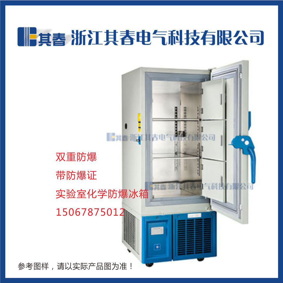 BL-DW290HL,