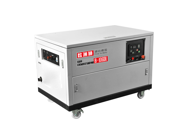 10KW汽油發電機B-12GDI (14)