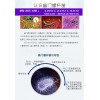 供應碳十三。碳十四幽門螺桿菌檢測儀