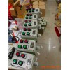 BZC53-D2A2防爆按鈕操作柱