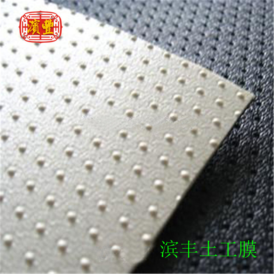 濱豐土工膜