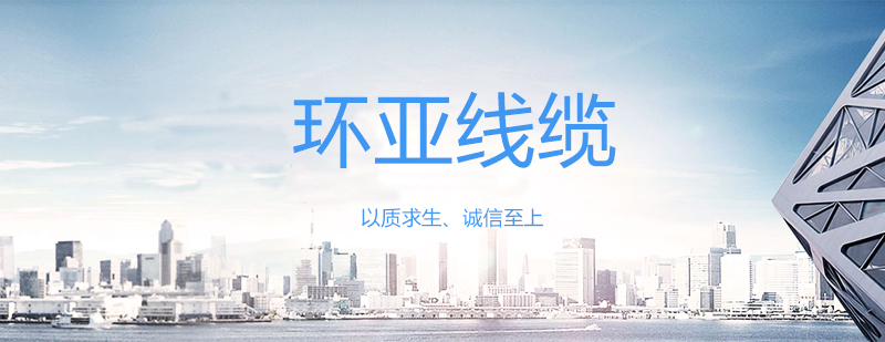 環亞線纜1