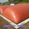 安徽潛山市農(nóng)家豬廠發(fā)酵沼氣池 紅泥軟體沼氣袋一次投資受益十年