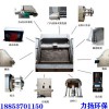 牲畜廠糞水垃圾去除設(shè)備 斜篩式固液分離機(jī)蛟龍材質(zhì)