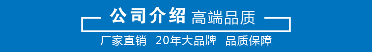 ry導熱油泵 導熱油泵廠家 批發導熱油循環泵示例圖8