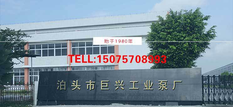 ry導熱油泵 導熱油泵廠家 批發導熱油循環泵示例圖24
