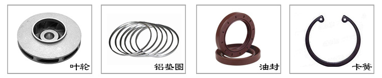 ry導(dǎo)熱油泵 導(dǎo)熱油泵廠家 批發(fā)導(dǎo)熱油循環(huán)泵示例圖8