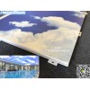 石河子市酒店玉雕3D打印藍天白云鋁單板   應用領域