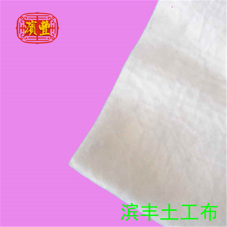 濱豐土工布