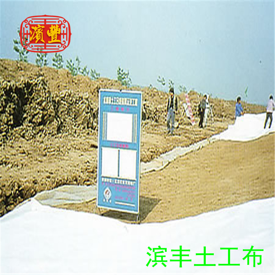 濱豐土工布