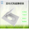 廁所革命 帶蓋蹲便器 大口徑蹲便器 淄博市文昌湖區